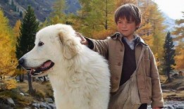 灵犬雪莉2在线观看,守护者传奇再续